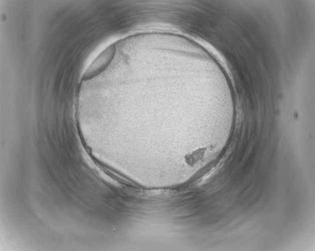 X0000085241390200704092012