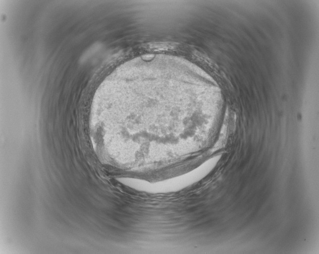 X0000085241393200704092011