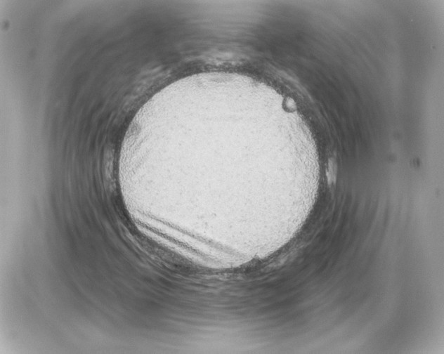 X0000085241396200704092011