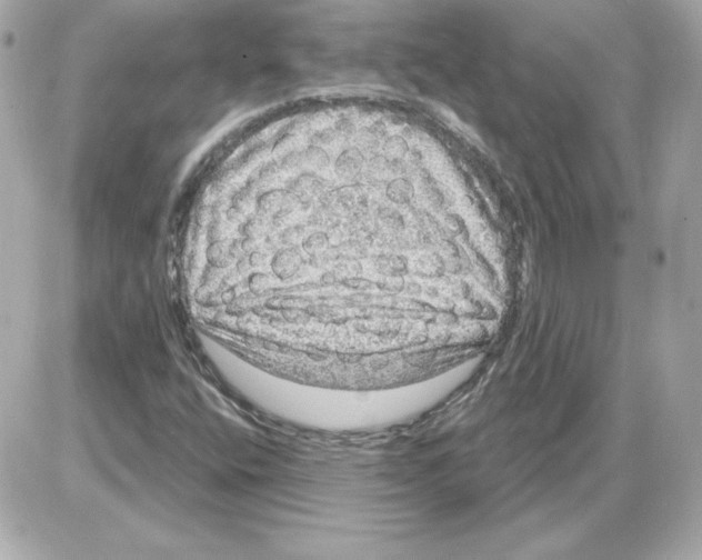 X0000085241400200704092011