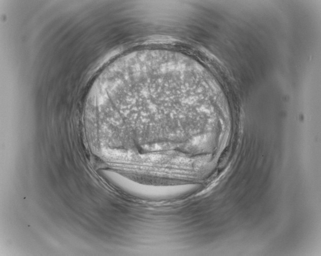 X0000085241401200704092011
