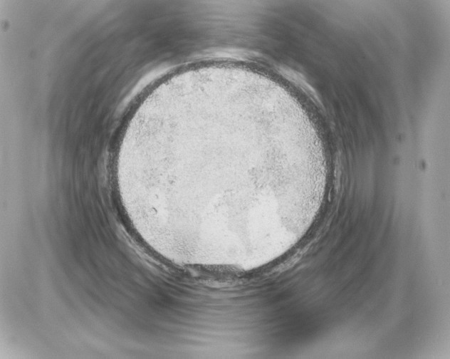 X0000085241404200704092011