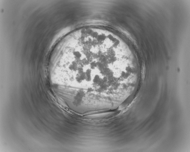 X0000085241405200704092011