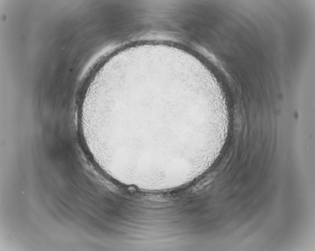X0000085241408200704092011