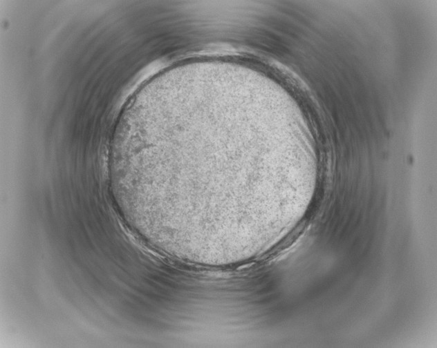 X0000085241409200704092011