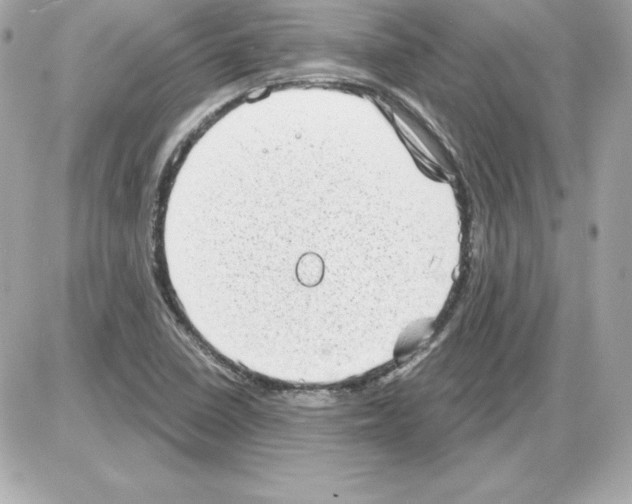 X0000085241410200704092011