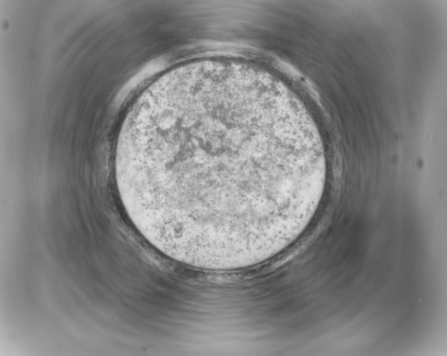 X0000085241411200704092011