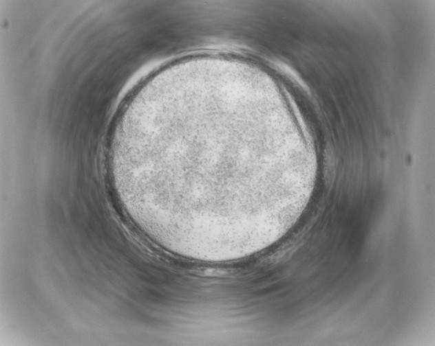 X0000085241412200704092011
