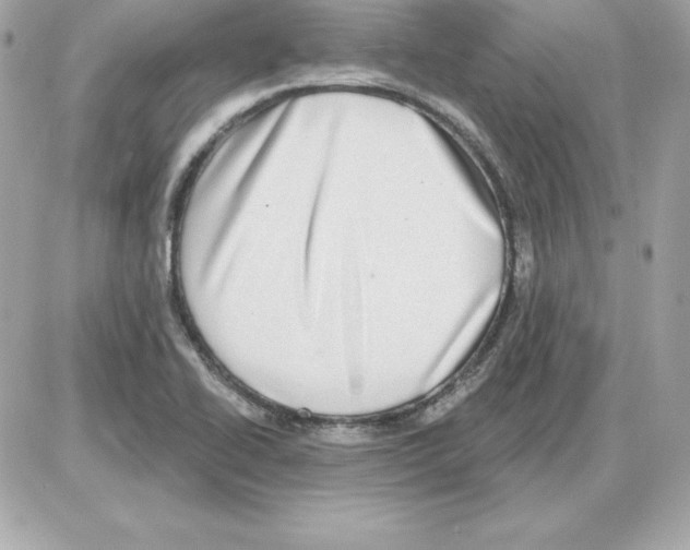 X0000085241414200704092011