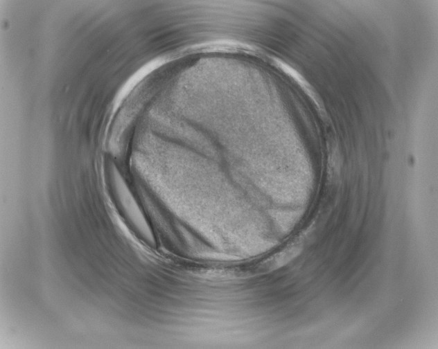 X0000085241418200704092011