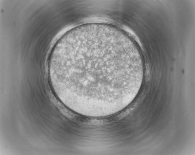 X0000085241419200704092011