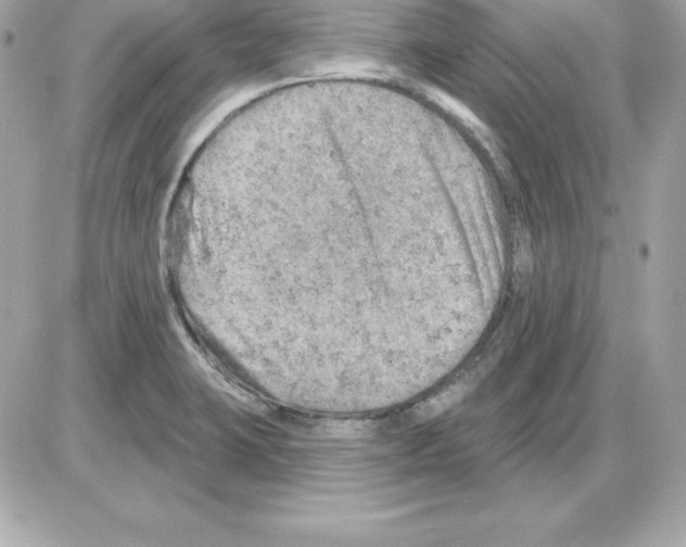X0000085241423200704092012
