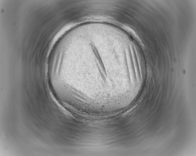 X0000085241424200704092012