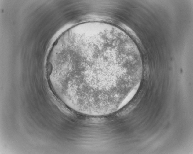 X0000085241427200704092012