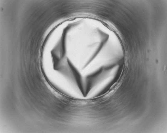 X0000085241438200704092012