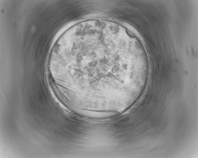 X0000085241440200704092012