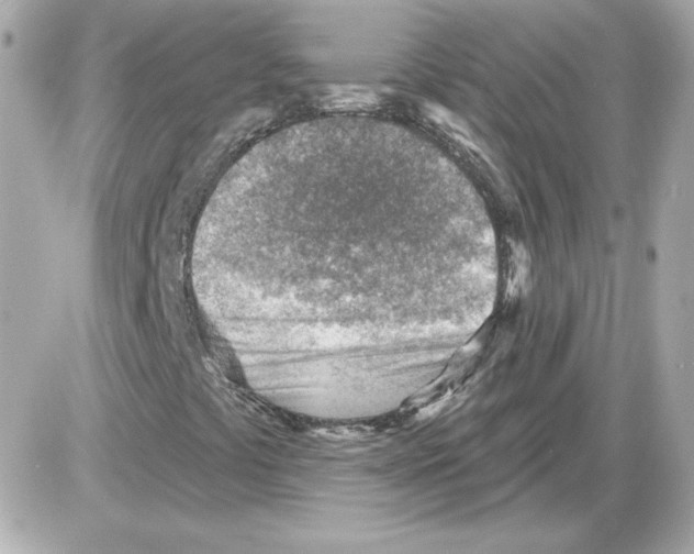 X0000085241441200704092011