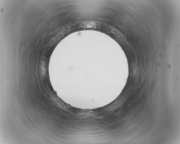 X0000085241442200704092011