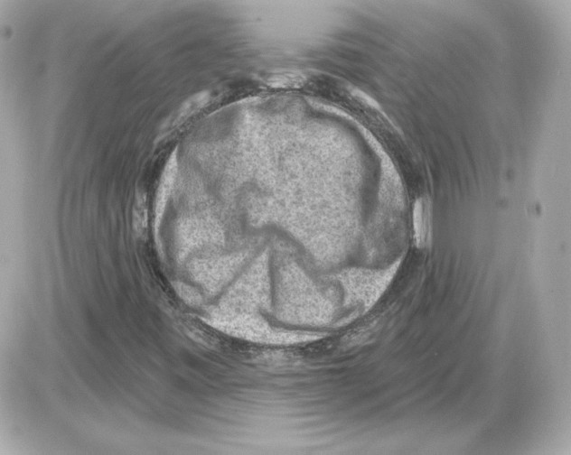 X0000085241443200704092011