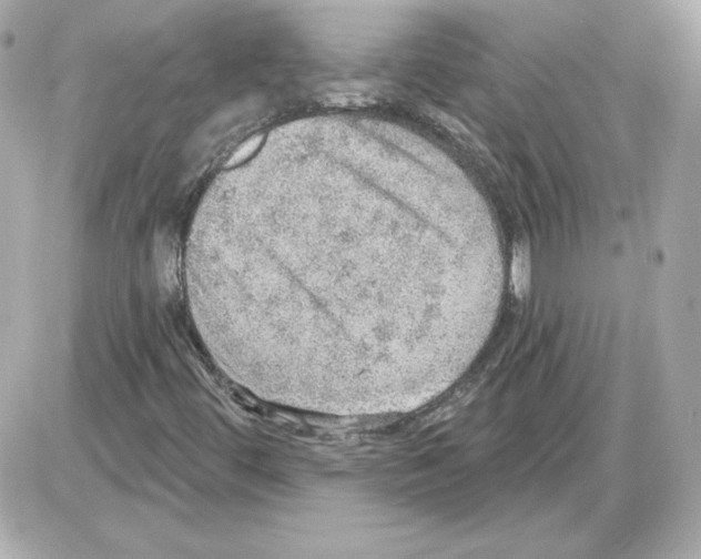 X0000085241444200704092011