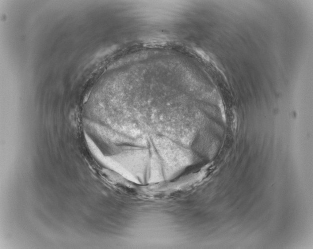 X0000085241445200704092011