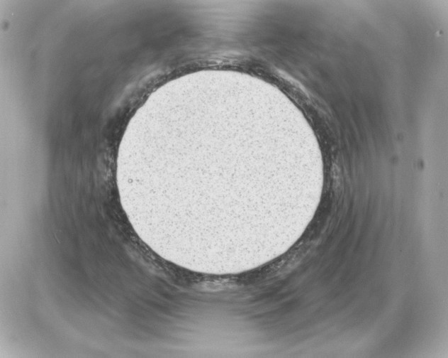 X0000085241447200704092011