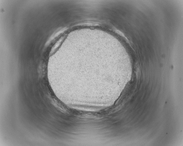 X0000085241448200704092011