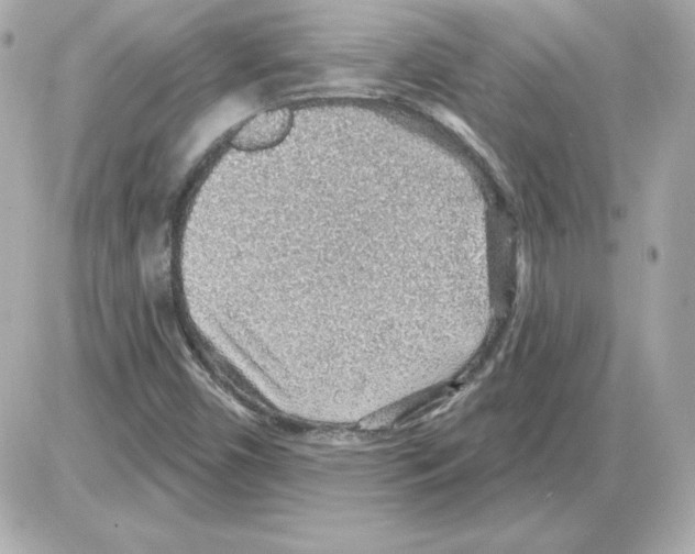 X0000085241450200704092011