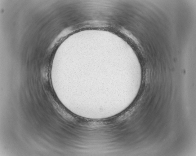 X0000085241451200704092011