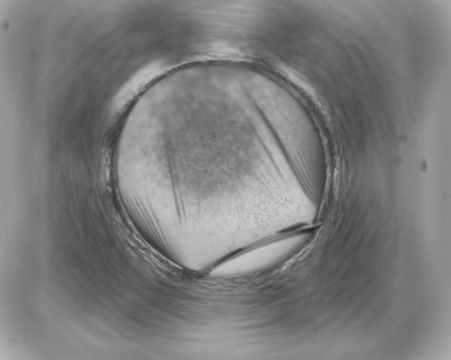 X0000085241455200704092011