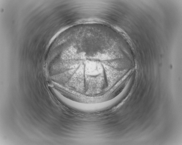 X0000085241457200704092011
