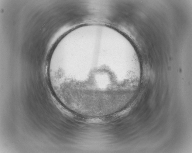 X0000085241462200704092011
