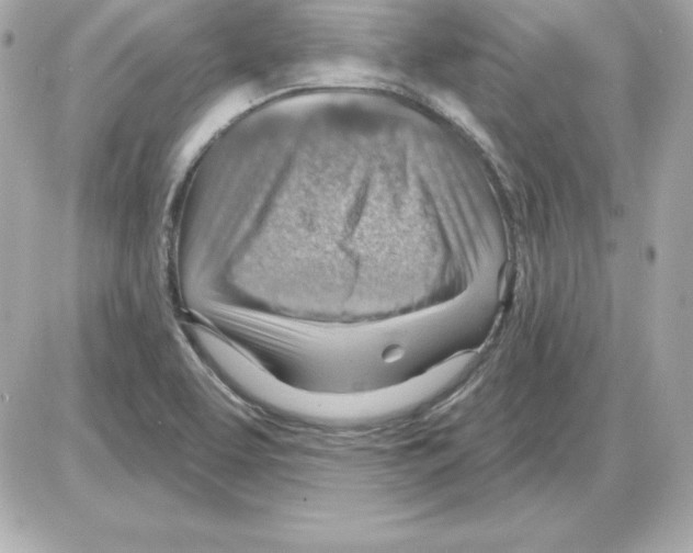 X0000085241463200704092011