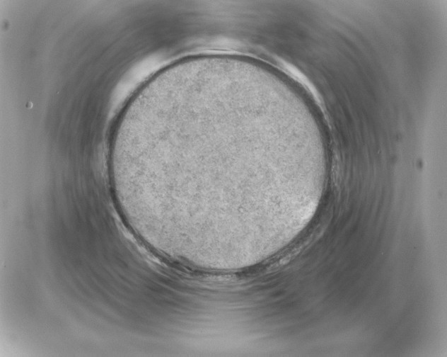 X0000085241464200704092011