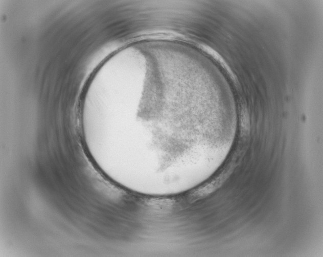 X0000085241466200704092011
