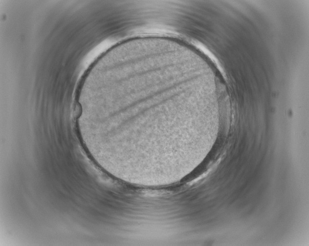 X0000085241469200704092011