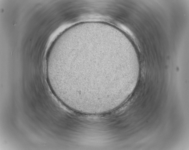 X0000085241472200704092011