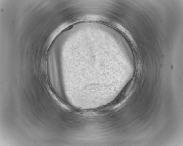 X0000085241473200704092011