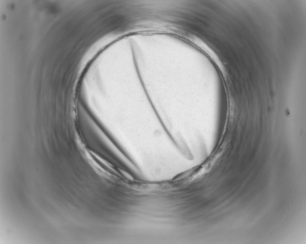X0000085241485200704092010