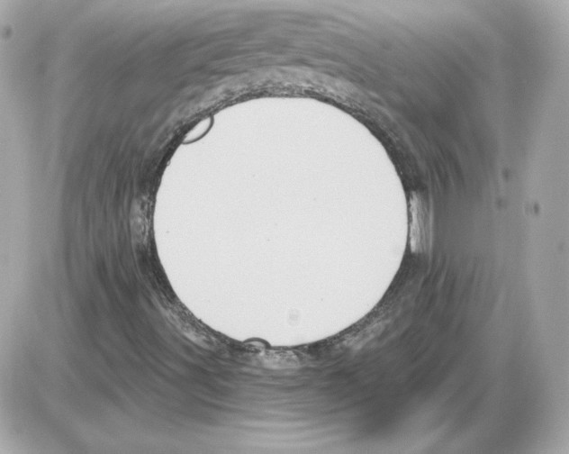 X0000085241491200704092009