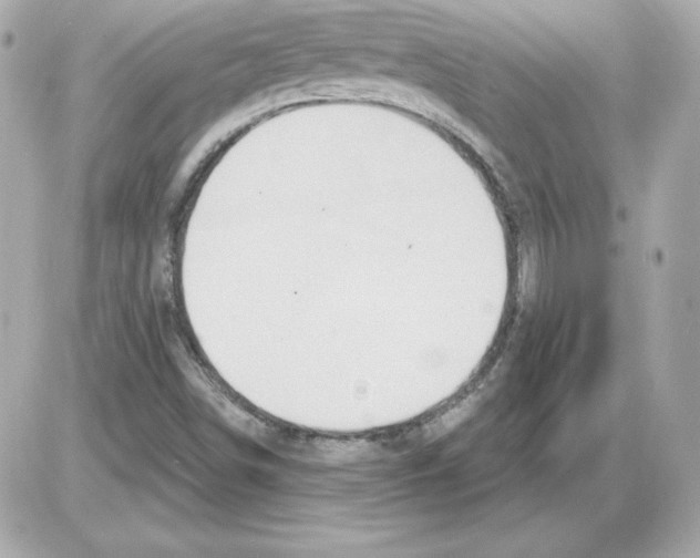 X0000085241498200704092010