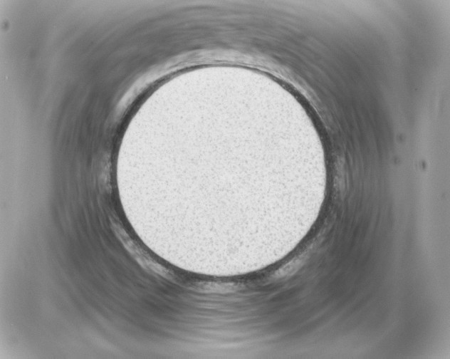 X0000085241499200704092010