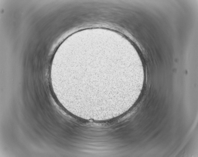 X0000085241500200704092010