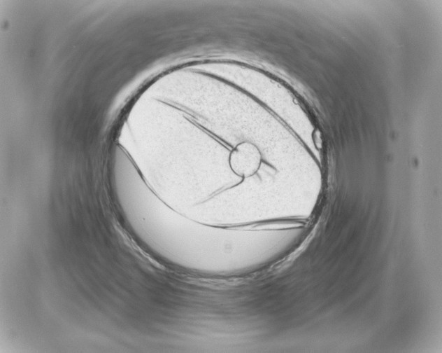 X0000085241502200704092010