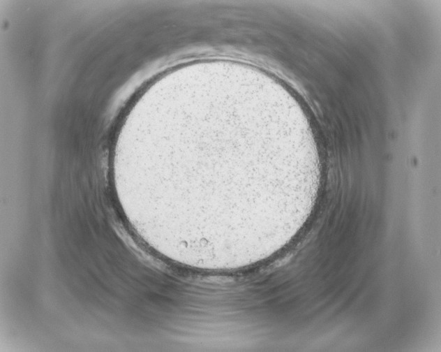 X0000085241503200704092010