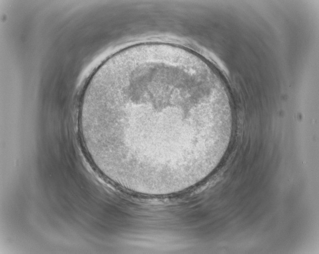 X0000085241504200704092010