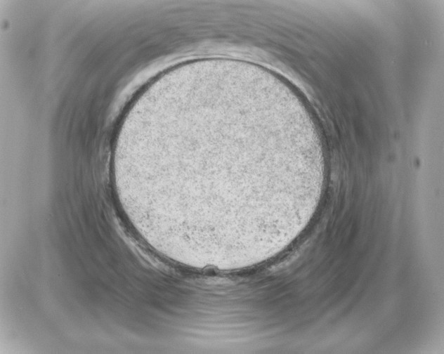 X0000085241507200704092010