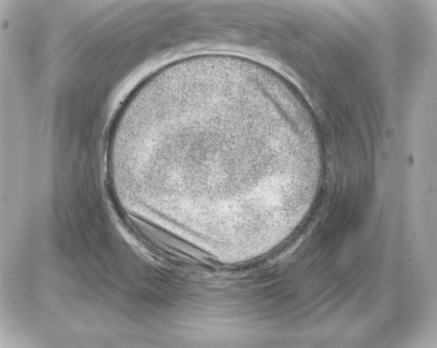 X0000085241511200704092010