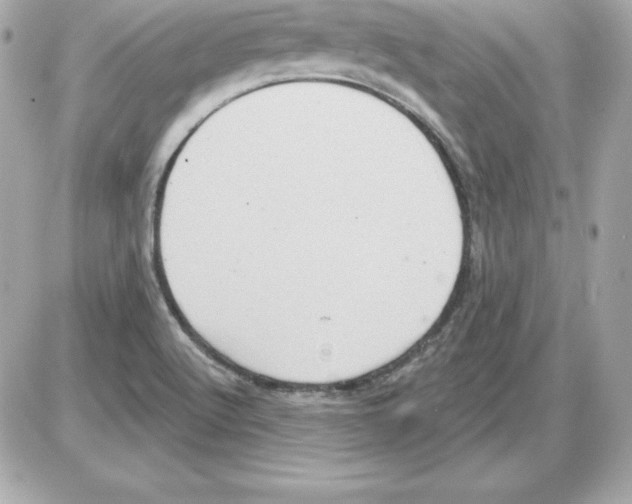 X0000085241512200704092010