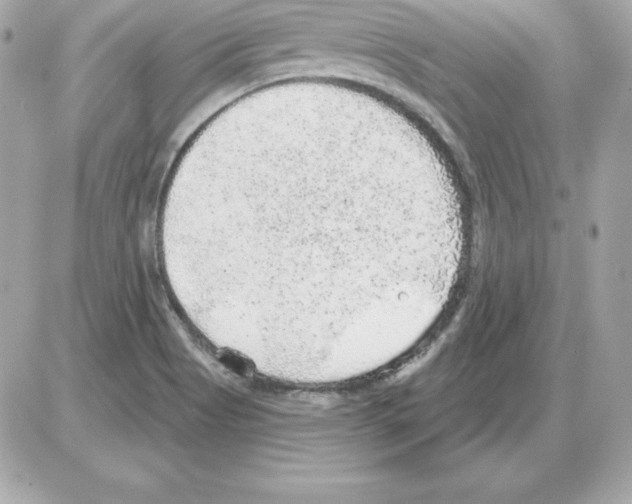 X0000085241513200704092010